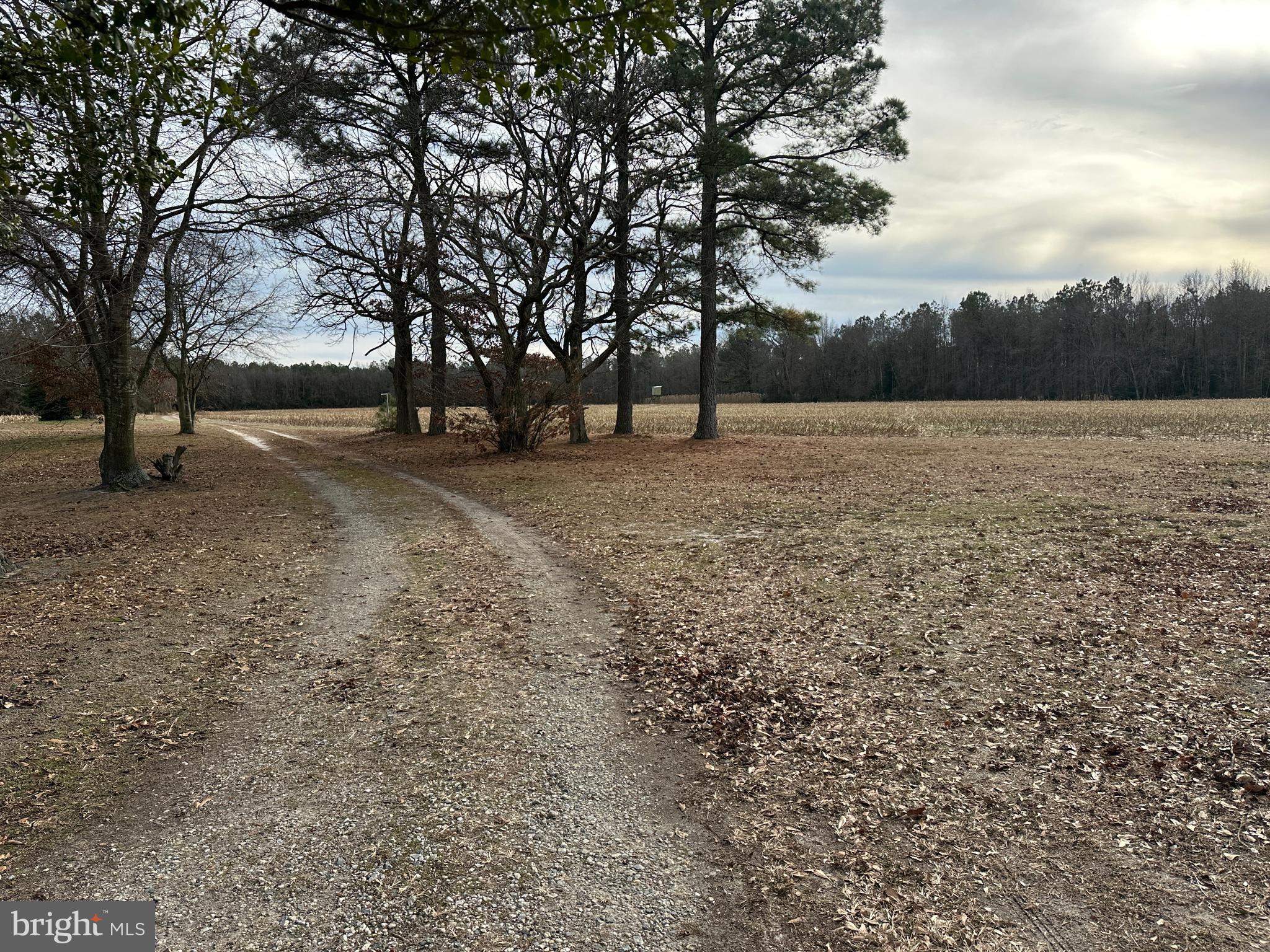 0 Whitesburg Road Snow Hill, MD 21863 - Photo 54 of 69