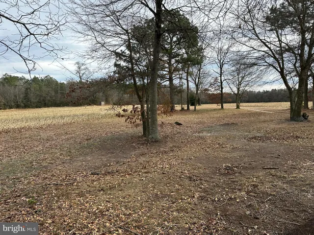 $725,000 | 0 Whitesburg Road, Snow Hill, MD 21863