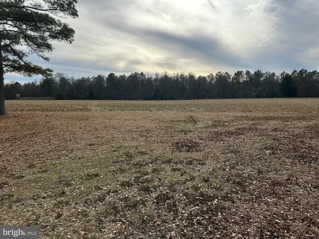 $725,000 | 0 Whitesburg Road, Snow Hill, MD 21863