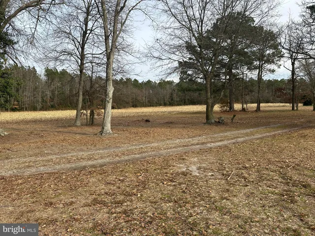 $725,000 | 0 Whitesburg Road, Snow Hill, MD 21863