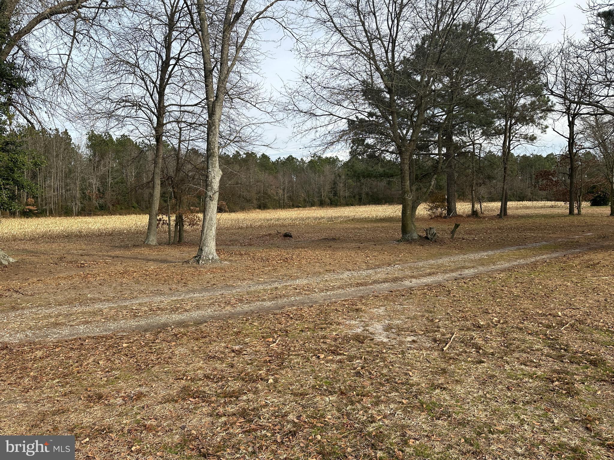 0 Whitesburg Road Snow Hill, MD 21863 - Photo 58 of 69