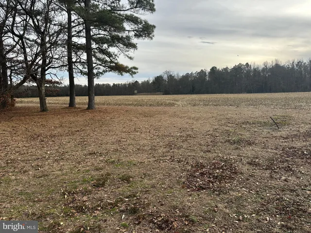 $725,000 | 0 Whitesburg Road, Snow Hill, MD 21863