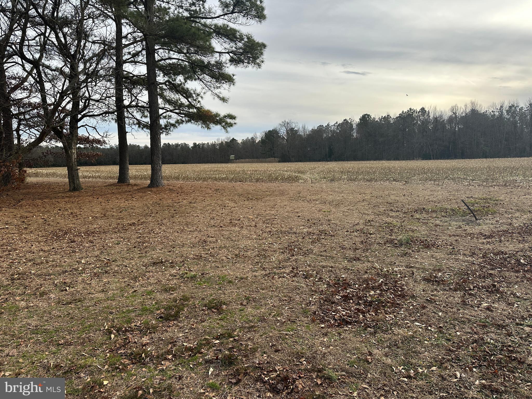 0 Whitesburg Road Snow Hill, MD 21863 - Photo 59 of 69