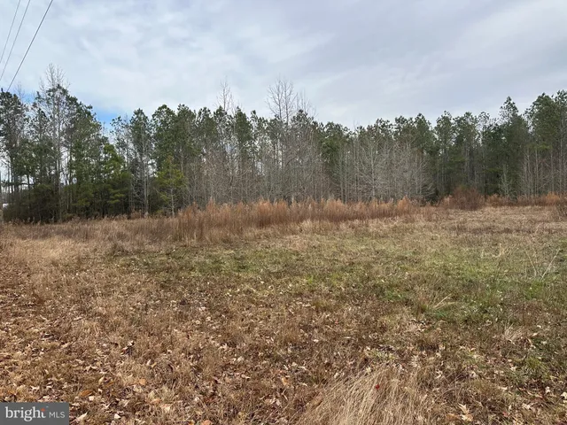 a view of outdoor space with trees