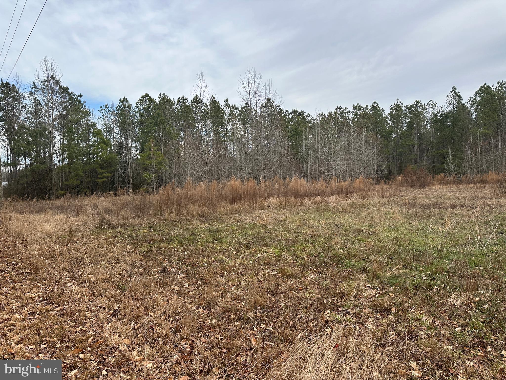 0 Whitesburg Road Snow Hill, MD 21863 - Photo 6 of 69