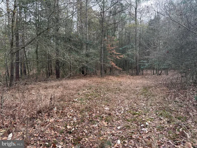 $725,000 | 0 Whitesburg Road, Snow Hill, MD 21863