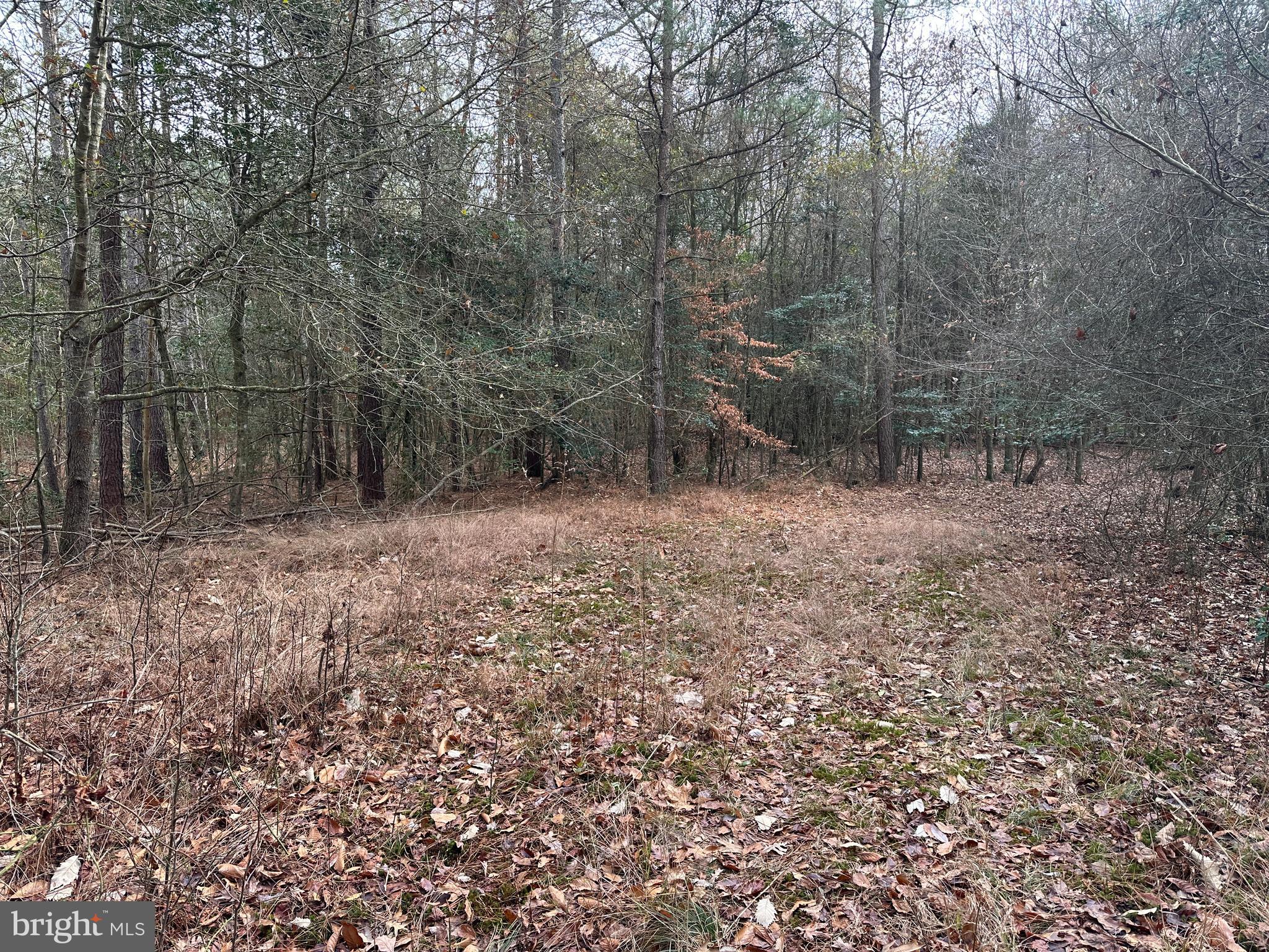 0 Whitesburg Road Snow Hill, MD 21863 - Photo 9 of 69