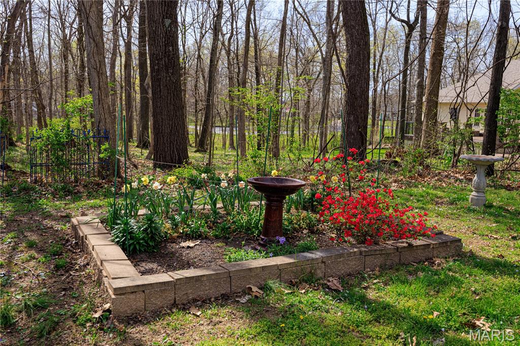 4873 Highway 72 Jackson, MO 63755 - Photo 49 of 56