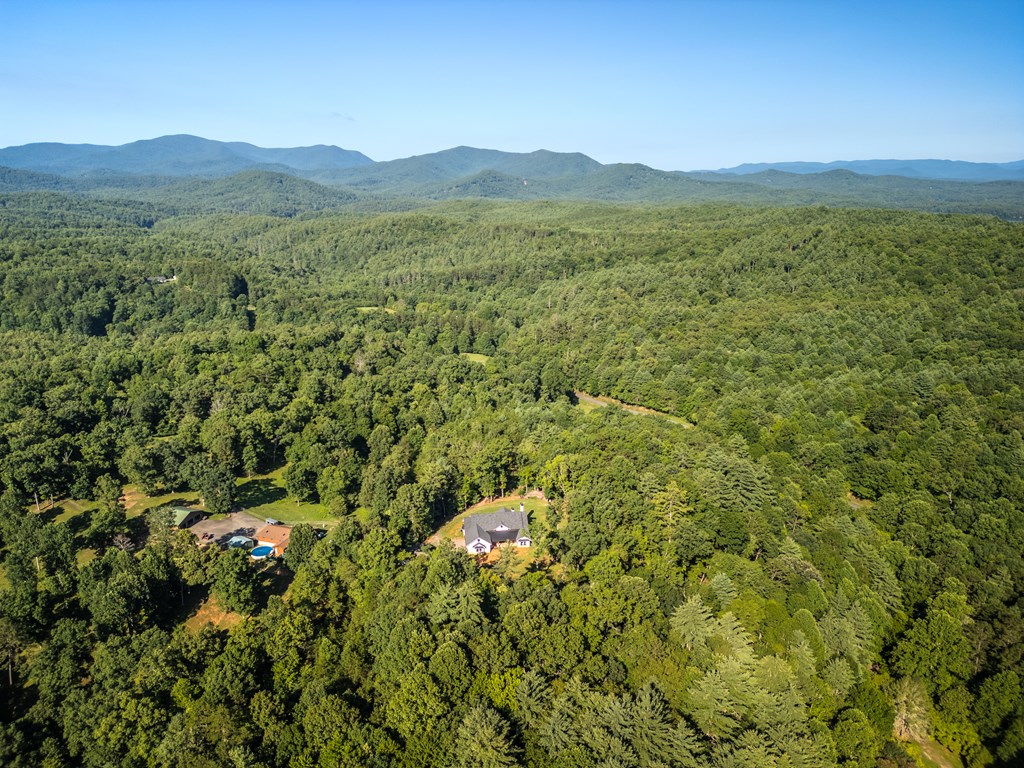 60 Buckeye Branch Road Morganton, GA 30560 - Photo 43 of 51 a view of a lush green field with a mountain in the background