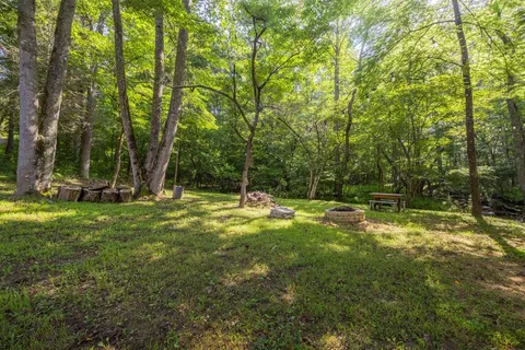 a view of a grassy field with trees