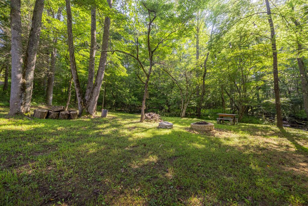 60 Buckeye Branch Road Morganton, GA 30560 - Photo 50 of 51 a view of a backyard with a trees