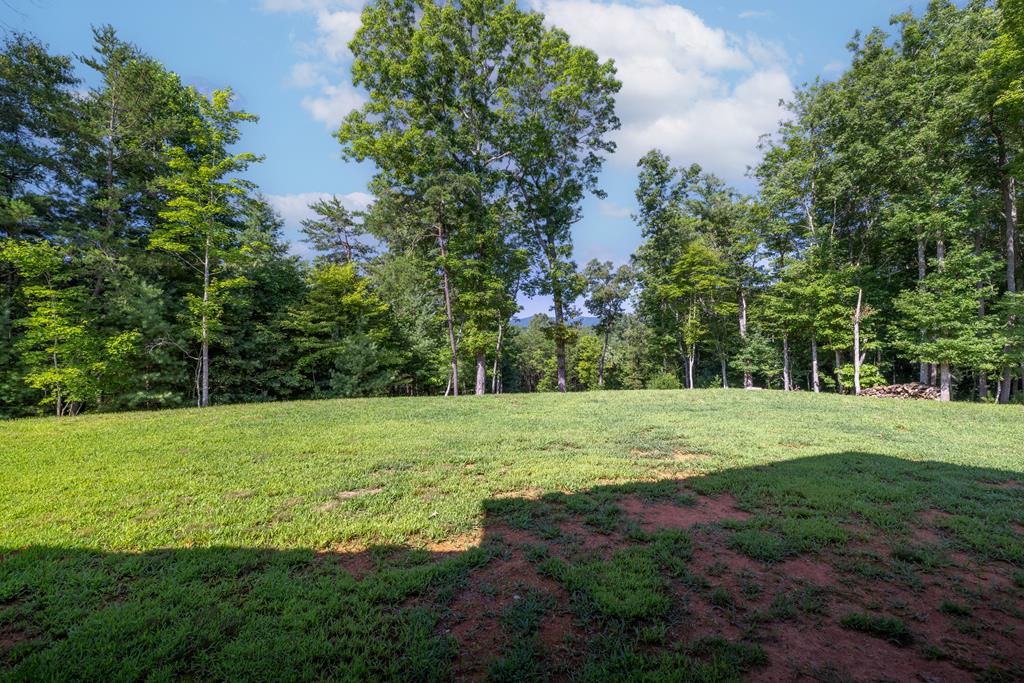 60 Buckeye Branch Road Morganton, GA 30560 - Photo 51 of 51 a view of a grassy field with trees