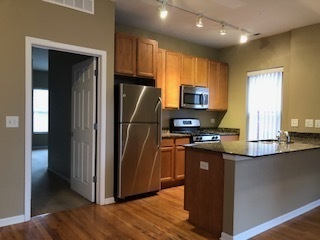 343 East 25th Place, Unit 18B Chicago, IL 60616 - Photo 3 of 12 a kitchen with stainless steel appliances granite countertop a refrigerator and a stove