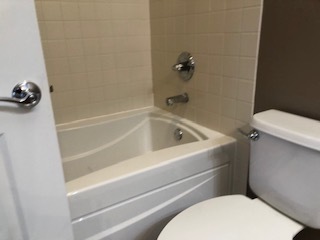 343 East 25th Place, Unit 18B Chicago, IL 60616 - Photo 5 of 12 a white toilet sitting next to a bath tub