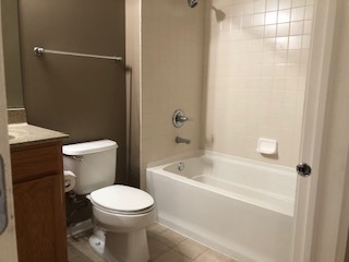 343 East 25th Place, Unit 18B Chicago, IL 60616 - Photo 10 of 12 a bathroom with a toilet and a bathtub