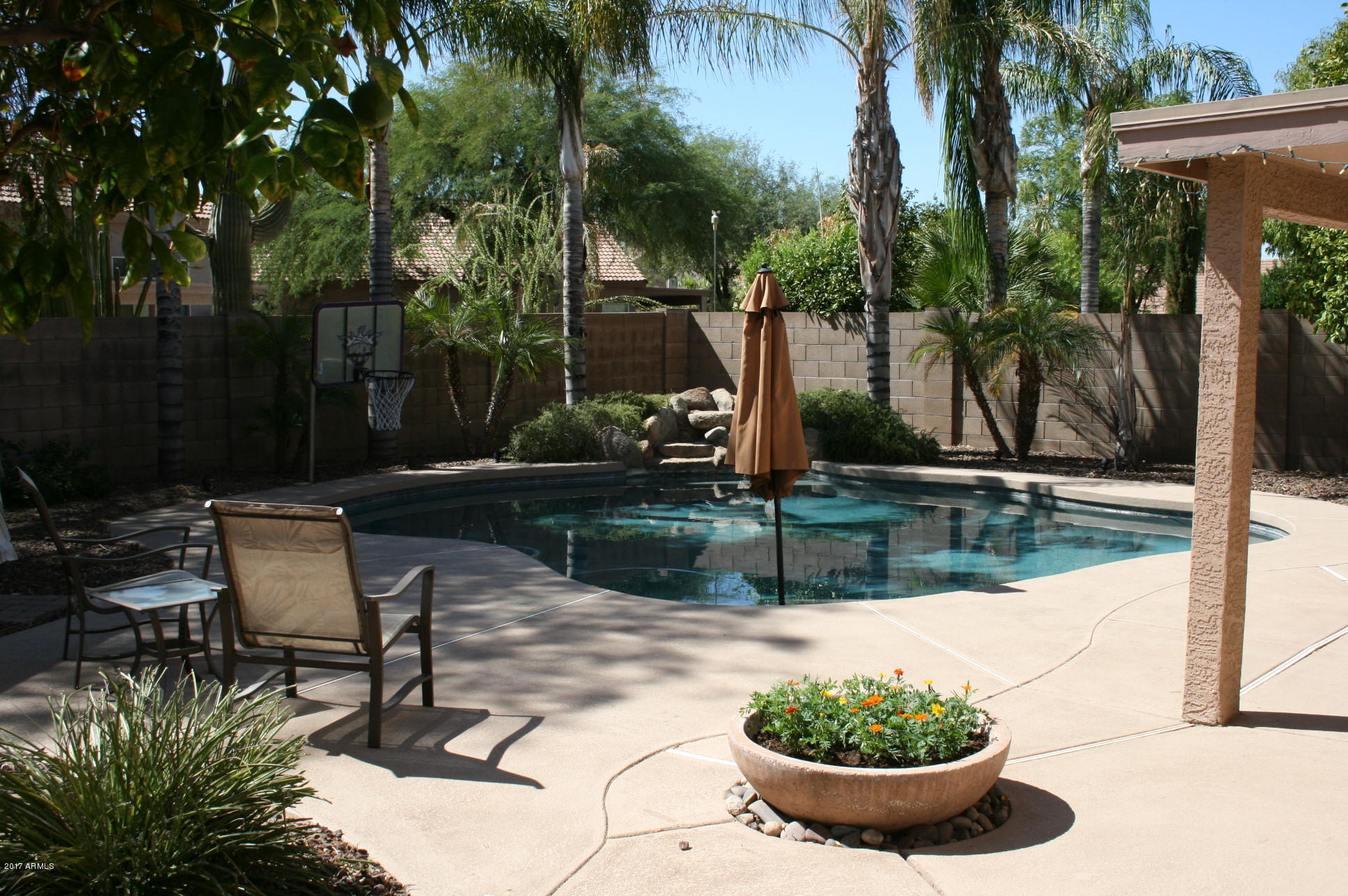 4519 East Rowel Road Phoenix, AZ 85050 - Photo 12 of 28 a view of a lake with table and chairs potted plants and palm trees