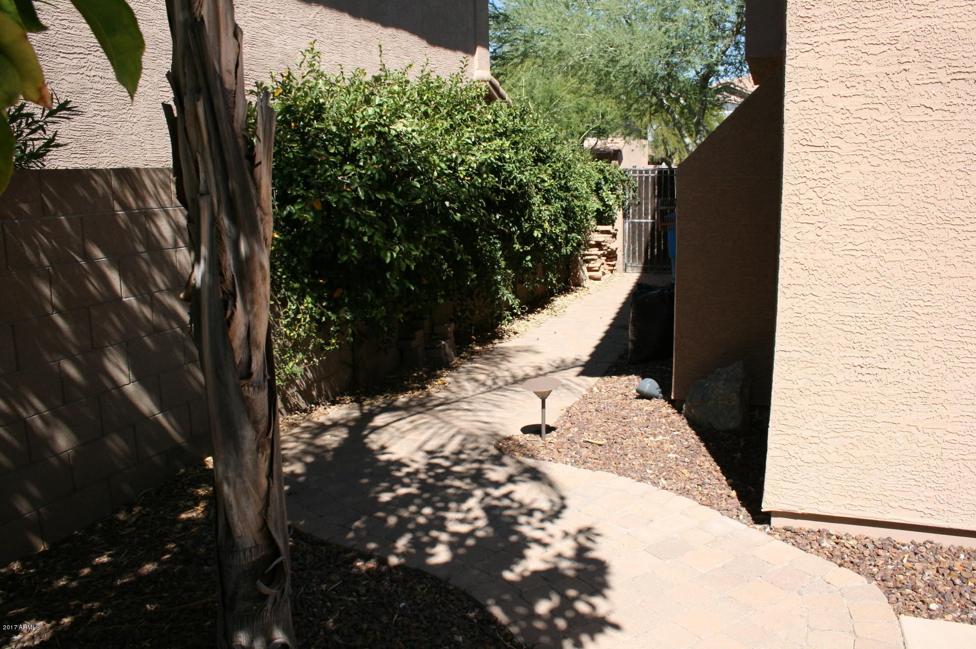 4519 East Rowel Road Phoenix, AZ 85050 - Photo 17 of 28 a view of a backyard of the house