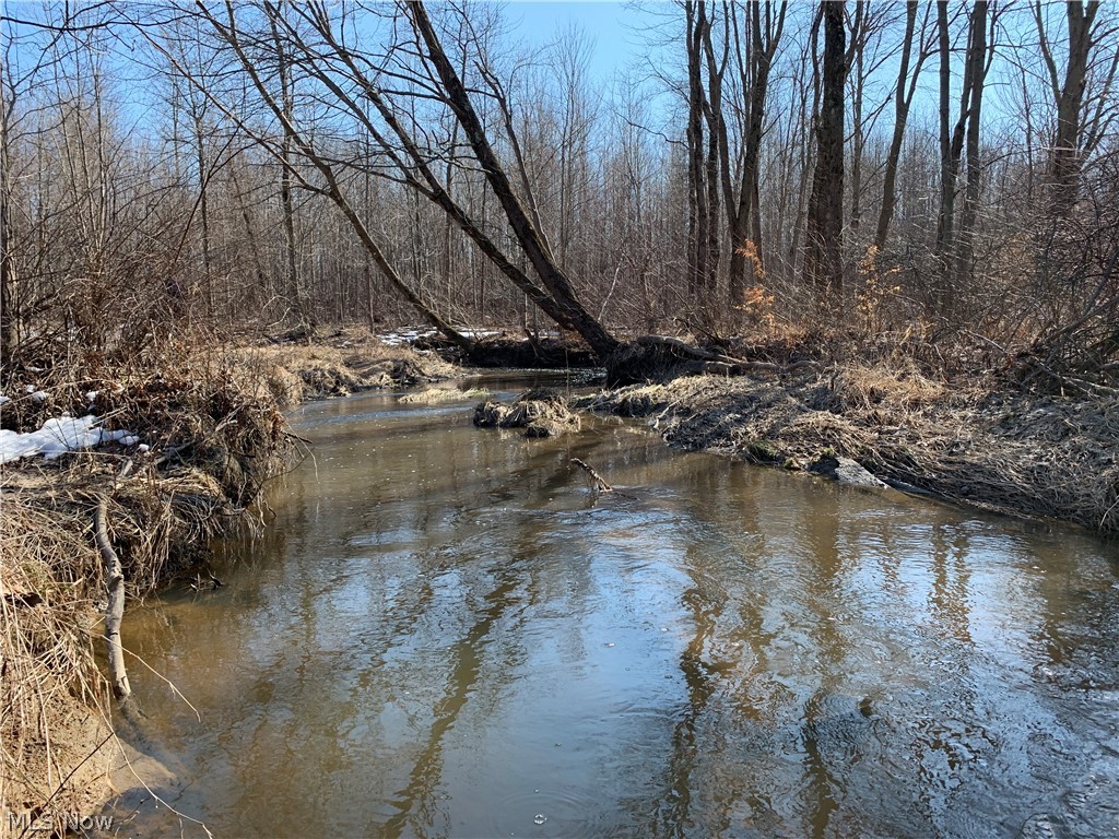 Brown Road Jefferson, OH 44047 - Photo 21 of 31 Gallery Image 21