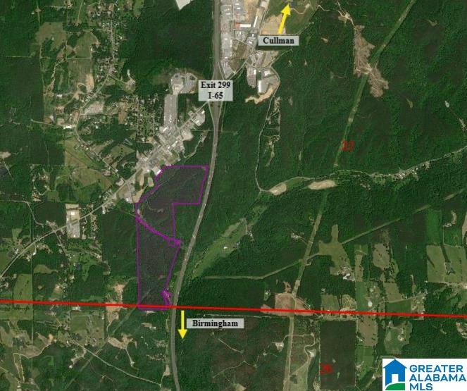 0 County Road Hanceville, AL 35077 - Photo 3 of 5