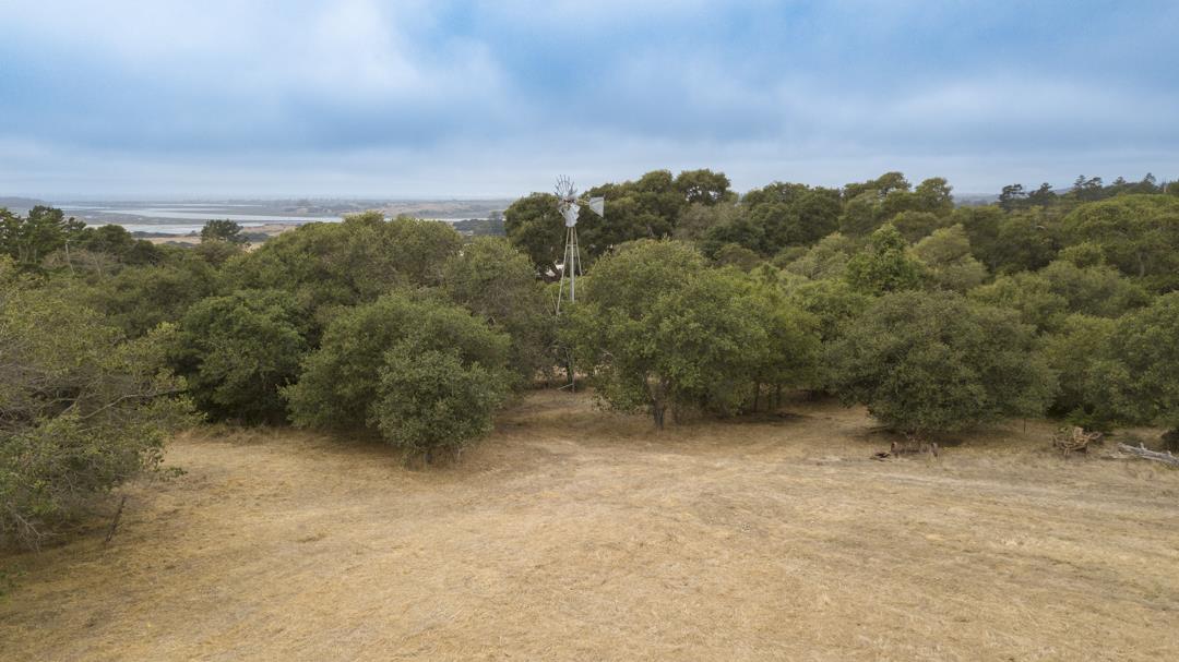 44 Bayview Road Castroville, CA 95012 - Photo 68 of 83 Gallery Image 68