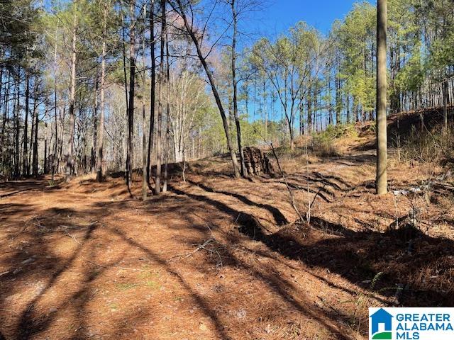 216 Ridgewood Drive, Unit 27 Hayden, AL 35079 - Photo 1 of 2