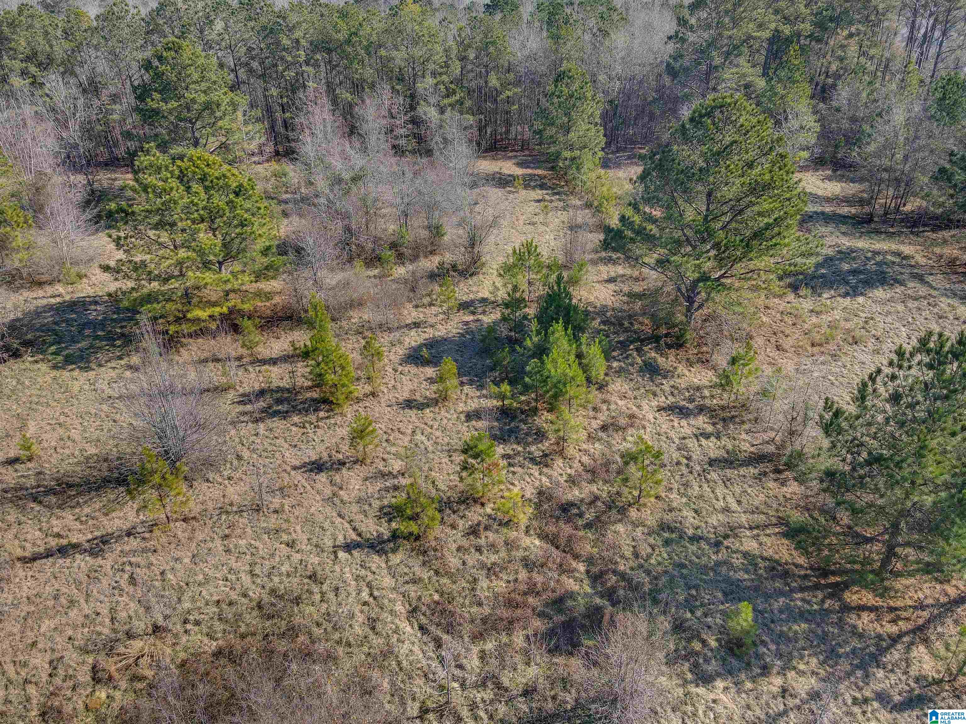 807 Yellow Leaf Road, Unit 1 Clanton, AL 35045 - Photo 10 of 18