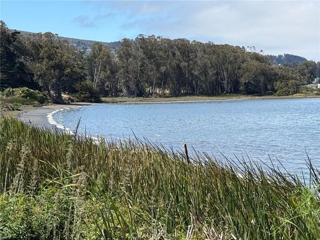 0 3rd Los Osos, CA 93402 - Photo 5 of 11 a view of a yard