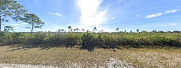 a view of a yard