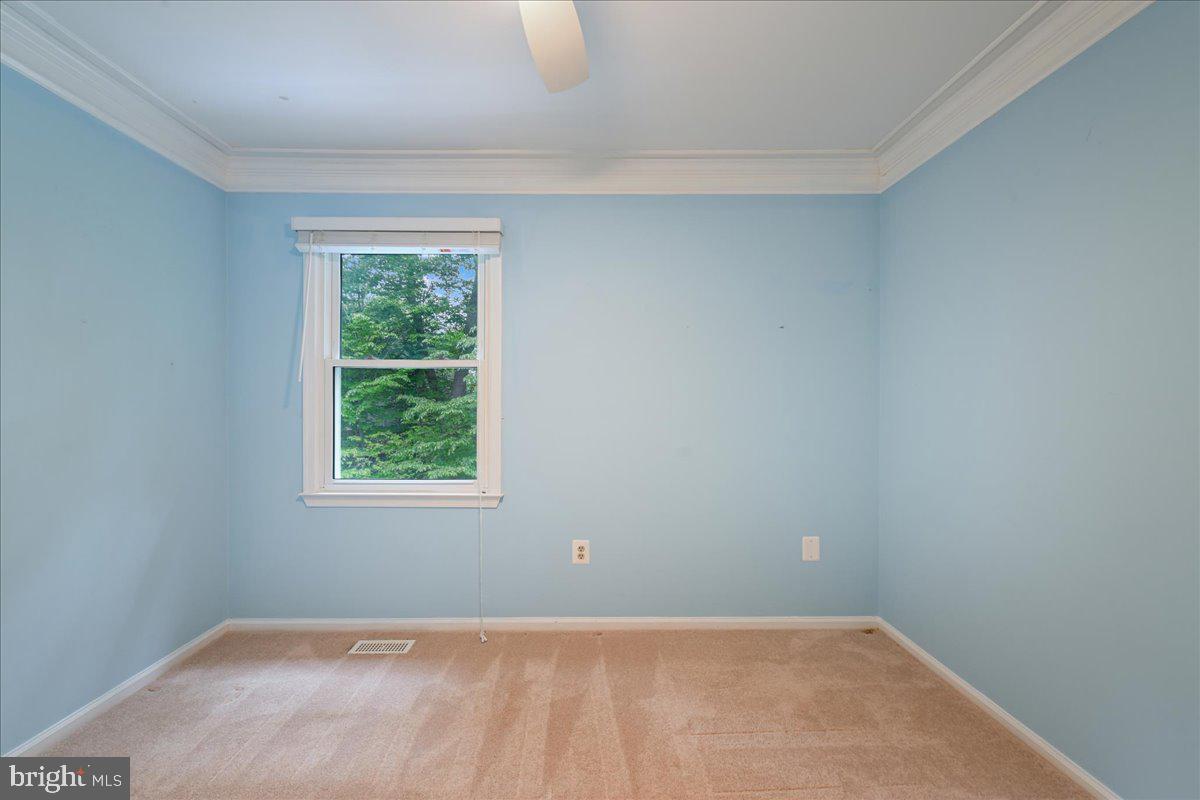 7592 Ruxton Drive Springfield, VA 22153 - Photo 48 of 72