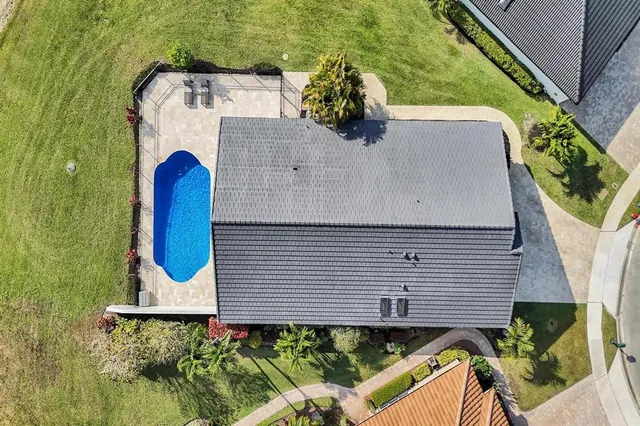 a view of a garden with palm trees