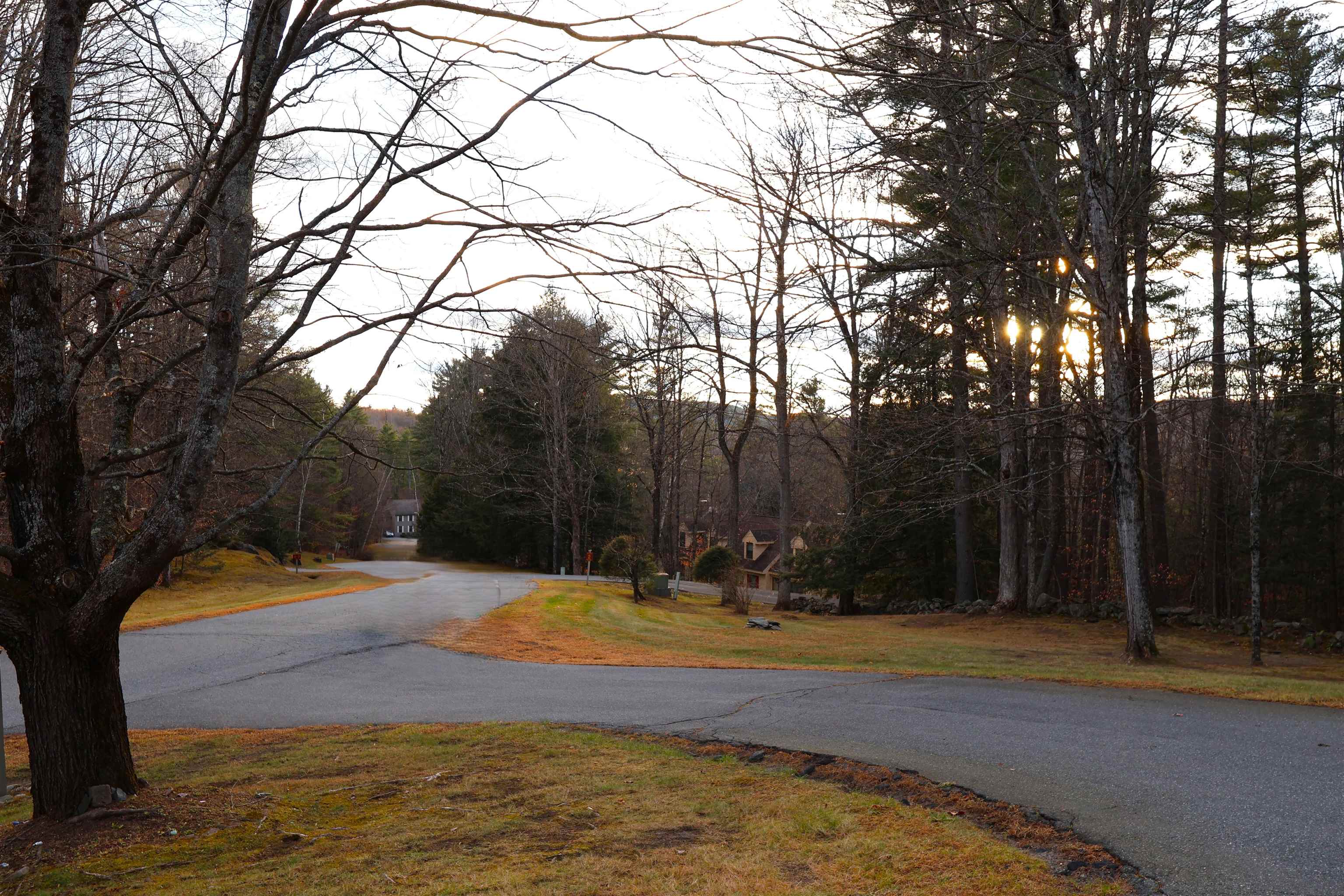 266 Poverty Lane, Unit 1A Lebanon, NH 03766 - Photo 3 of 59