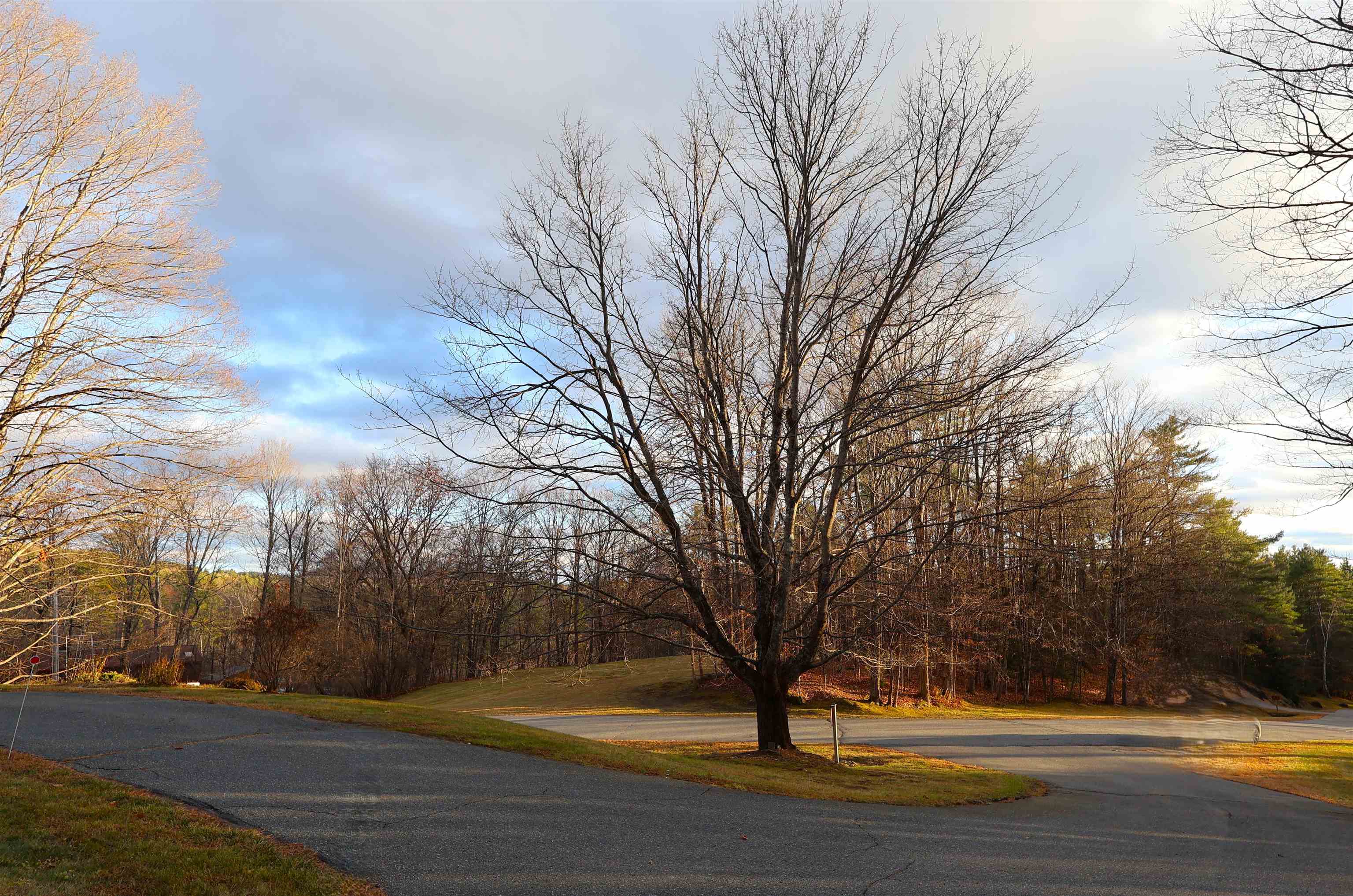 266 Poverty Lane, Unit 1A Lebanon, NH 03766 - Photo 4 of 59