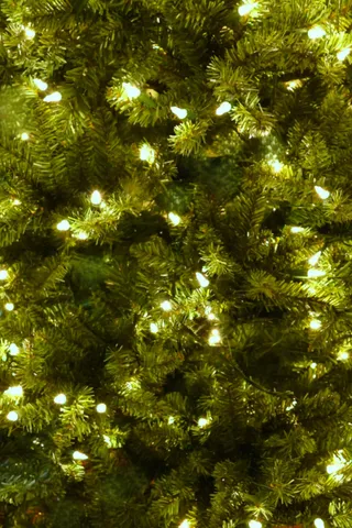 $499,000 | 266 Poverty Lane, Unit 1A, Lebanon, NH 03766