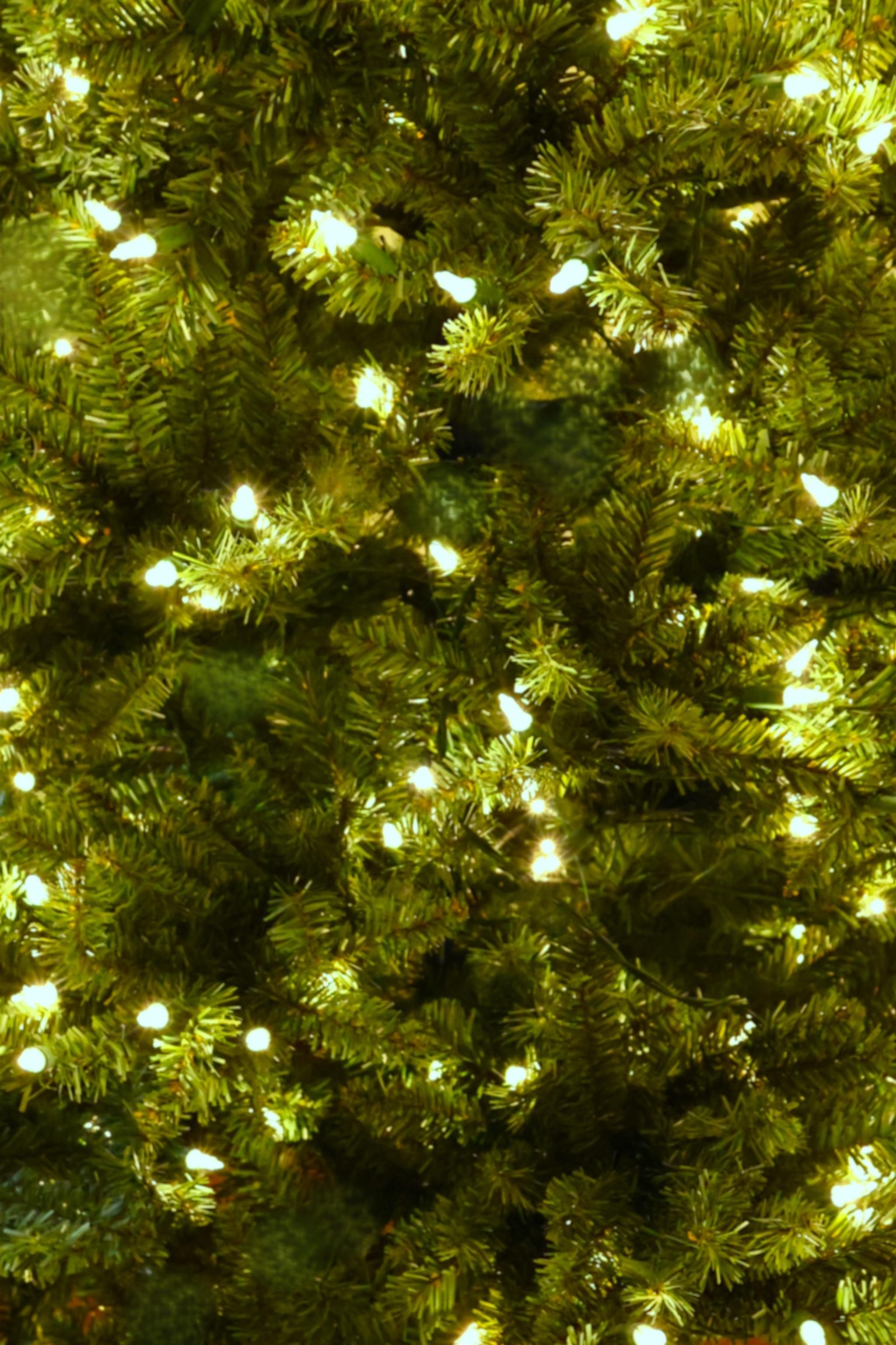 266 Poverty Lane, Unit 1A Lebanon, NH 03766 - Photo 59 of 59