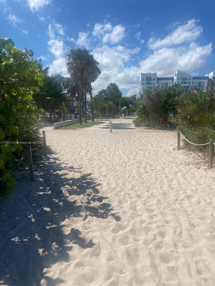 7928 Harding Avenue, Unit 2 Miami Beach, FL 33141 - Photo 16 of 19 a view of lake with tree in front of it