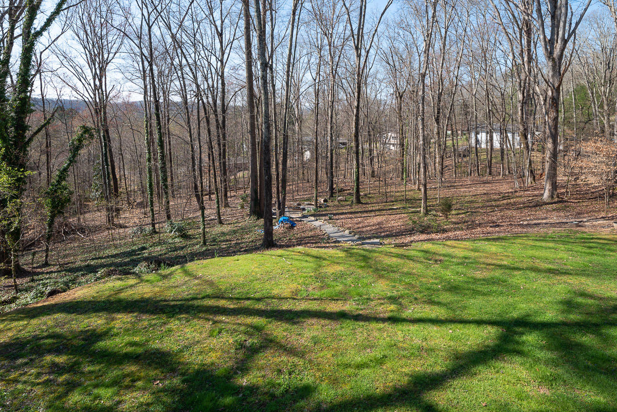 134 Windham Road Oak Ridge, TN 37830 - Photo 3 of 20 JBP_Windham134_Web-19