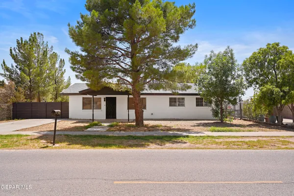a house that has potted plants and a large tree