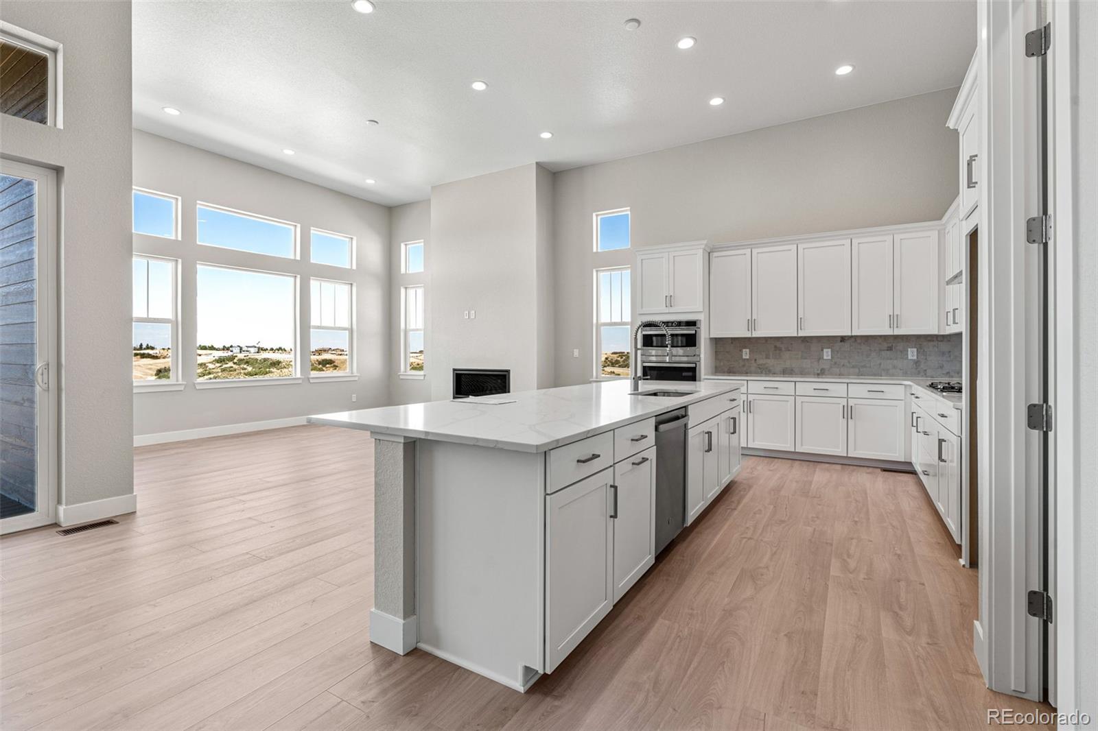 3885 Freestone Point Castle Rock, CO 80108 - Photo 4 of 24