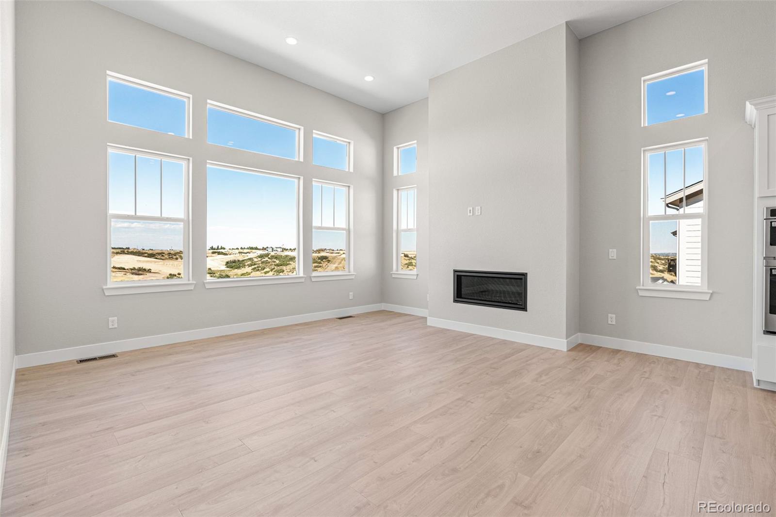 3885 Freestone Point Castle Rock, CO 80108 - Photo 5 of 24