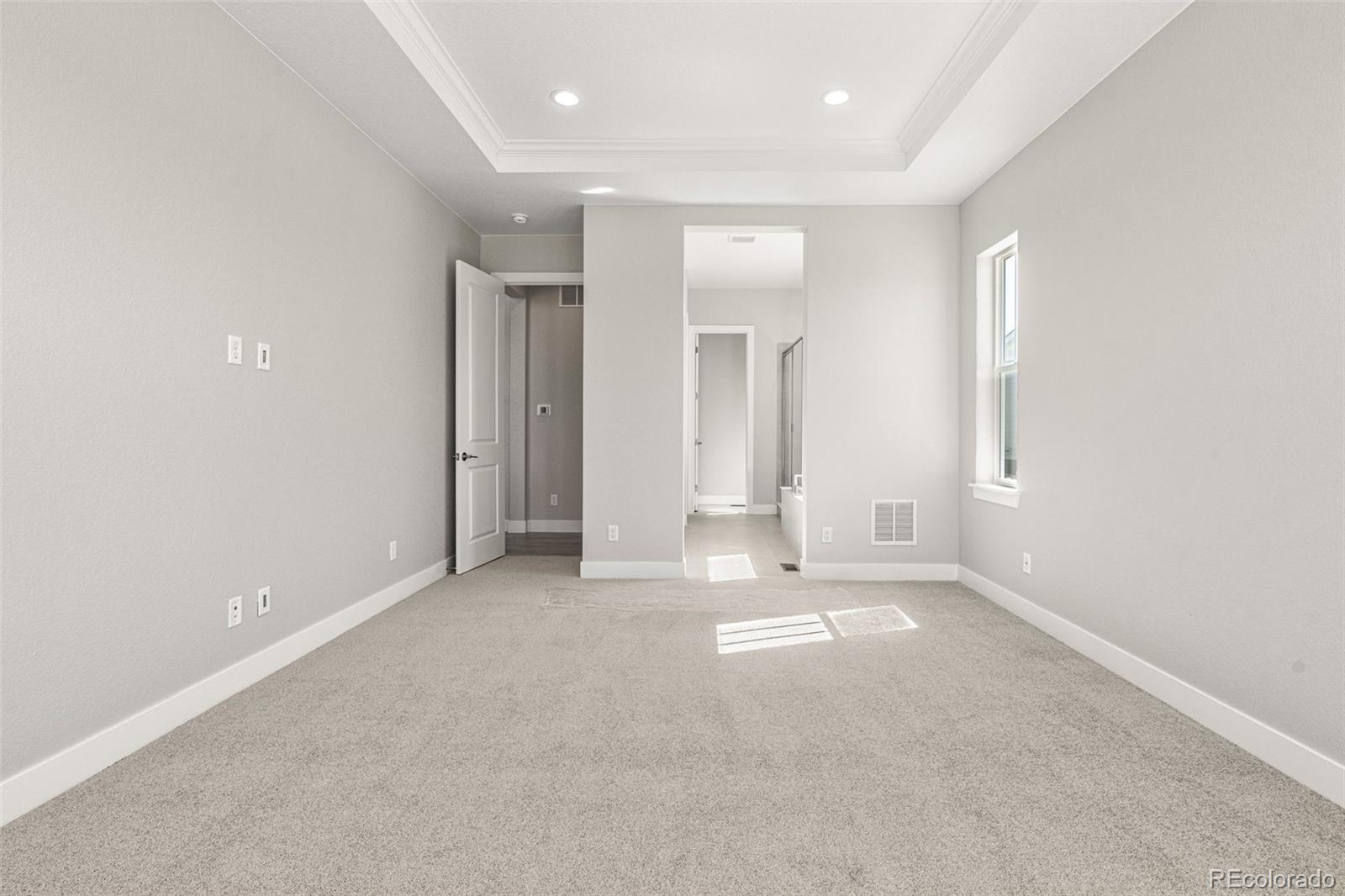 3885 Freestone Point Castle Rock, CO 80108 - Photo 10 of 24