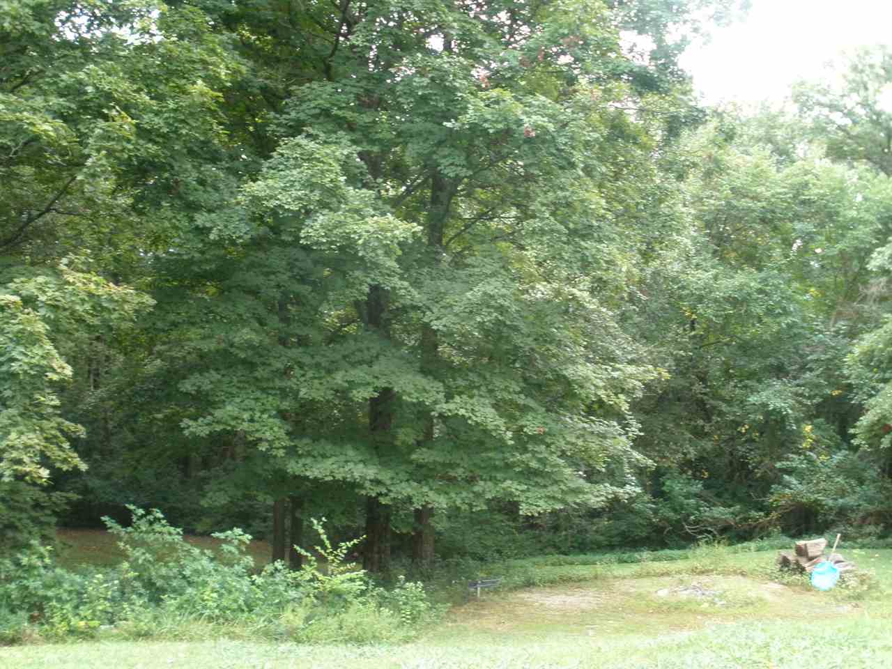 237 Old Petersburg Road Princeton, IN 47670 - Photo 15 of 16 Gallery Image 15