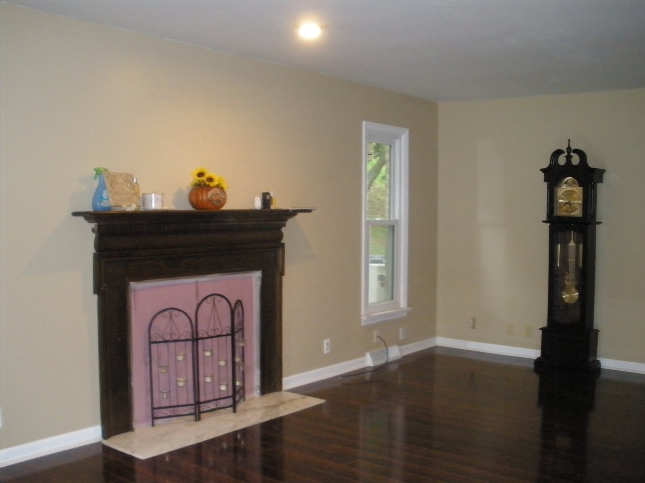 237 Old Petersburg Road Princeton, IN 47670 - Photo 4 of 16 Gallery Image 4