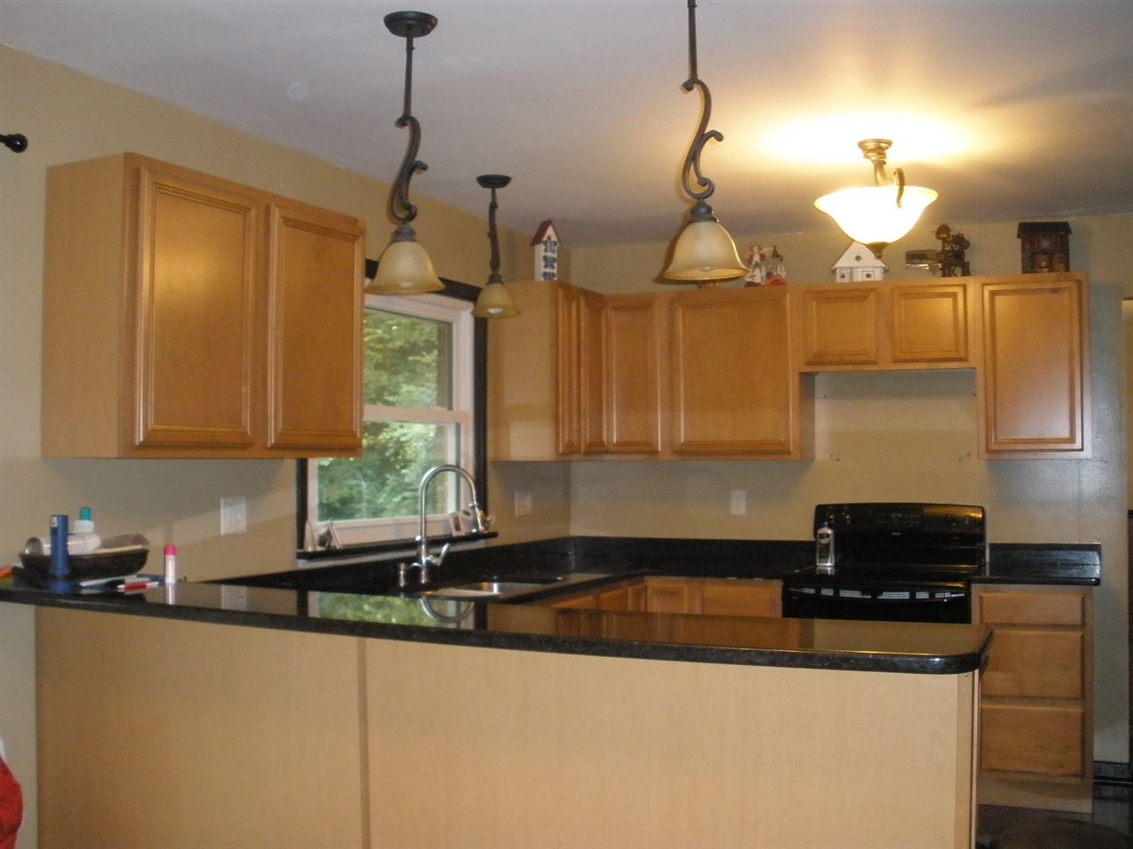237 Old Petersburg Road Princeton, IN 47670 - Photo 5 of 16 Gallery Image 5