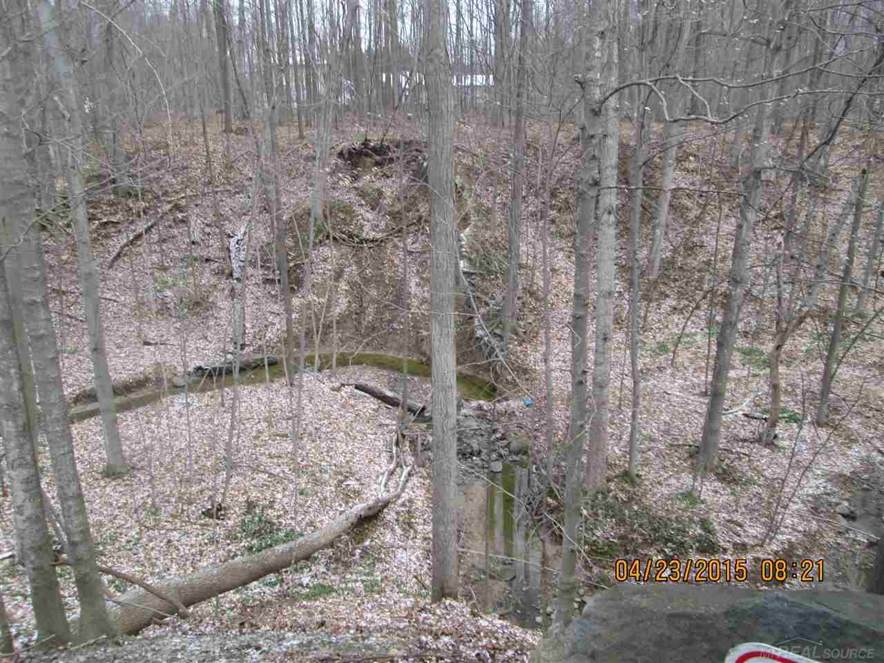 4696 Brown Road Avoca, MI 48006 - Photo 22 of 74