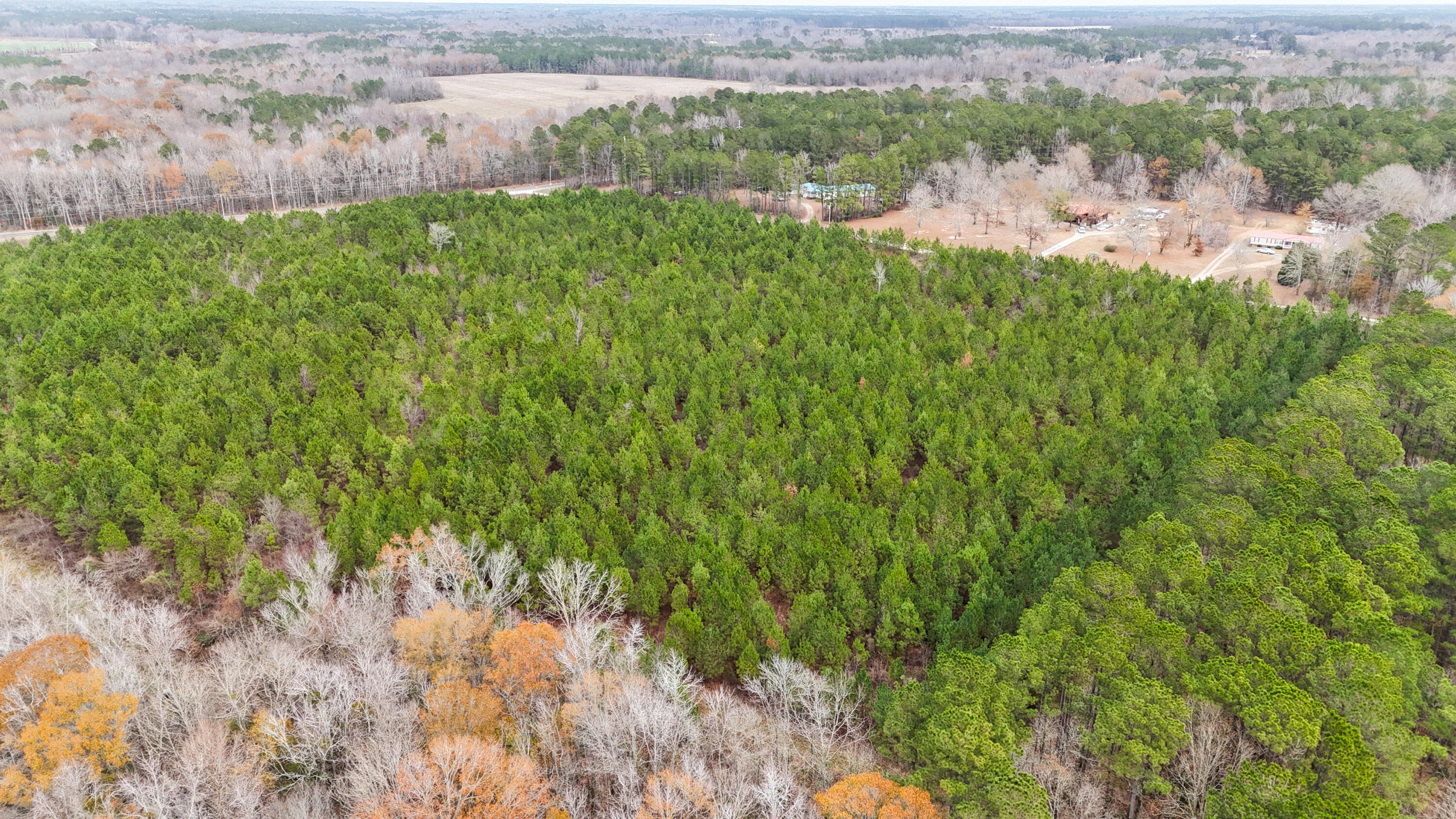 Tbd Tbd Bill Davis Road Summerton, SC 29148 - Photo 8 of 37 Gallery Image 8