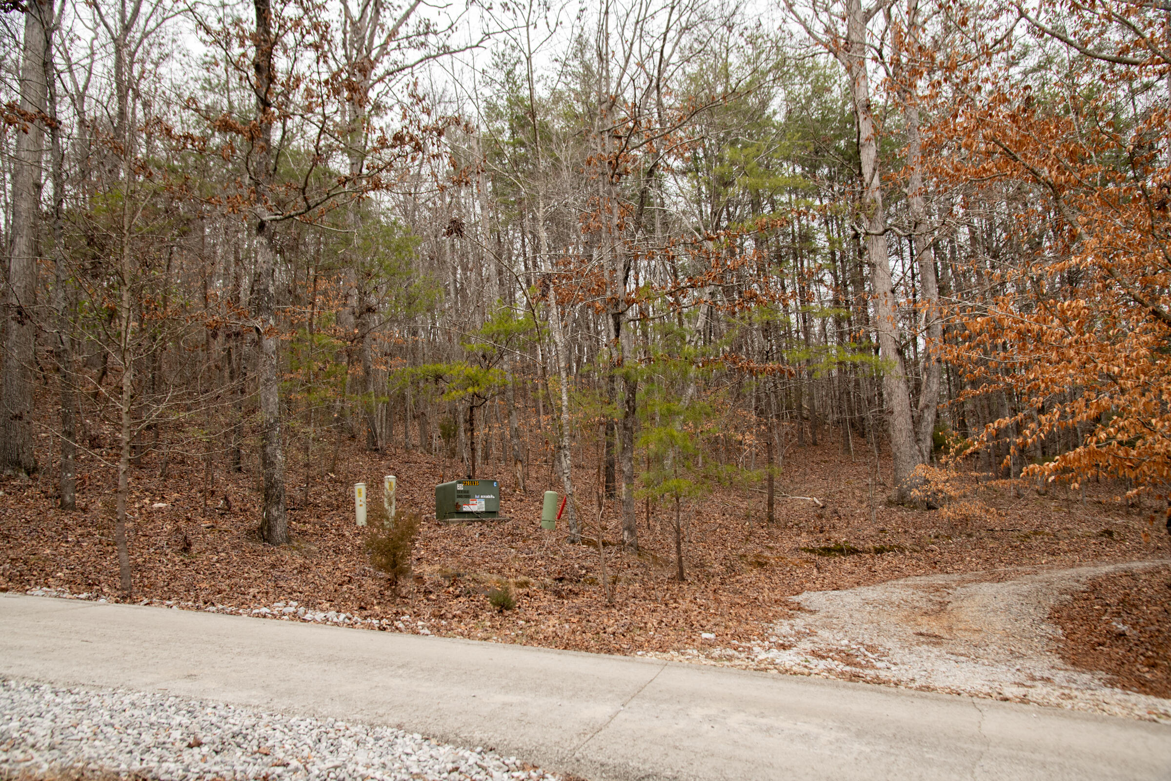 0 Valley Rim Drive, Unit 45 Chickamauga, GA 30707 - Photo 12 of 60 CloudlandStationLot-4