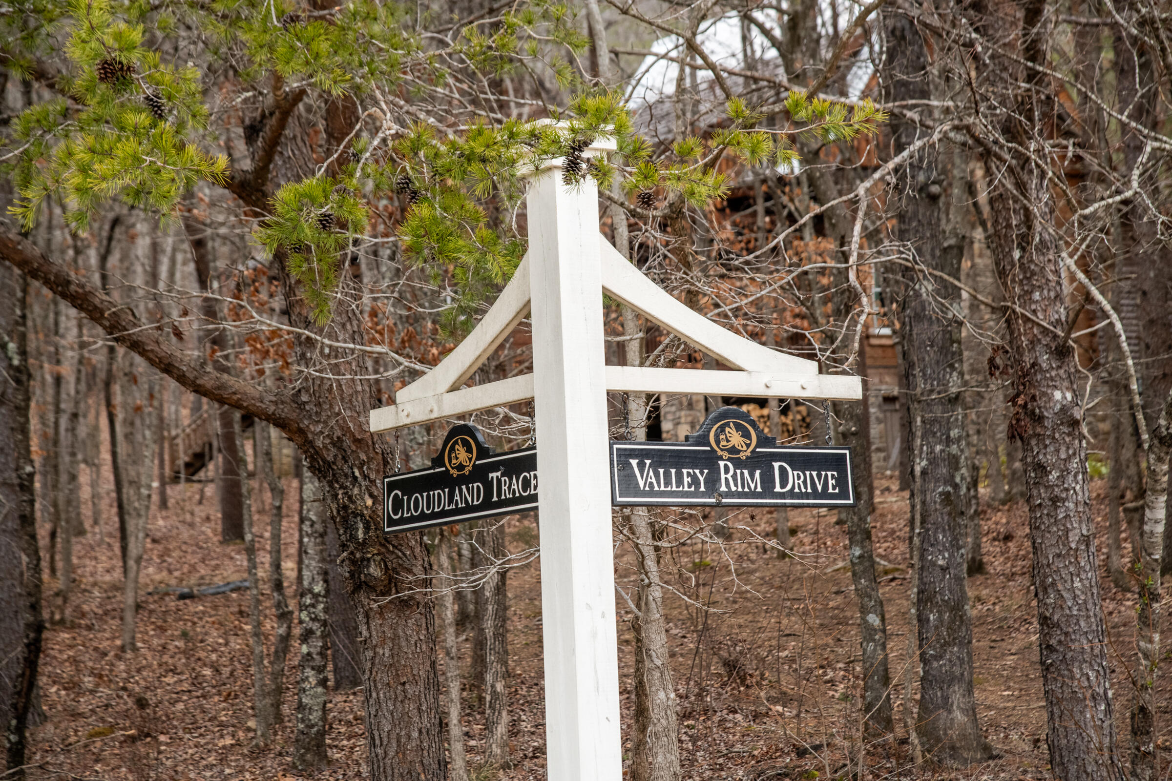 0 Valley Rim Drive, Unit 45 Chickamauga, GA 30707 - Photo 13 of 60 CloudlandStationLot-6