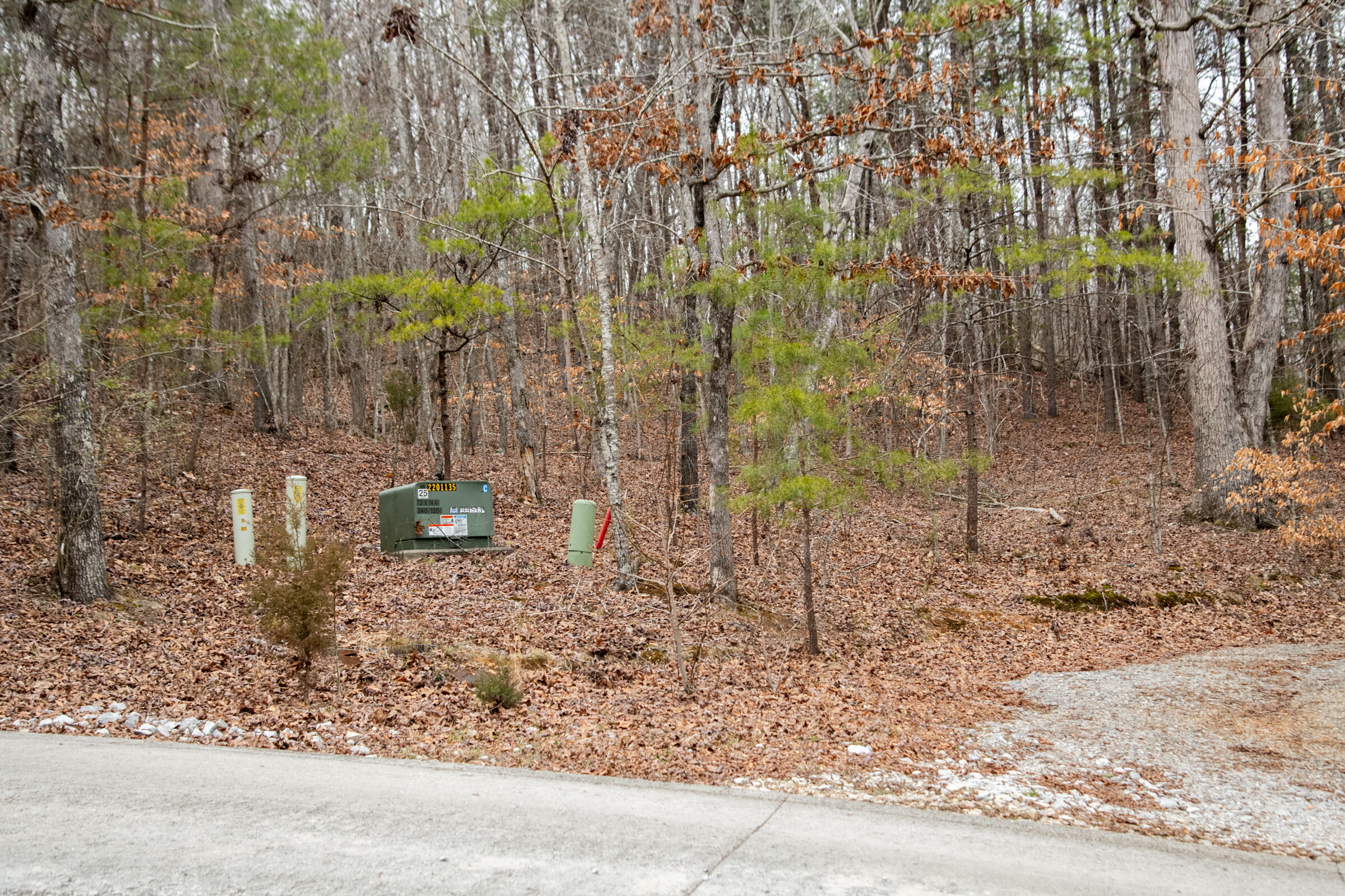 0 Valley Rim Drive, Unit 45 Chickamauga, GA 30707 - Photo 15 of 60 CloudlandStationLot-5