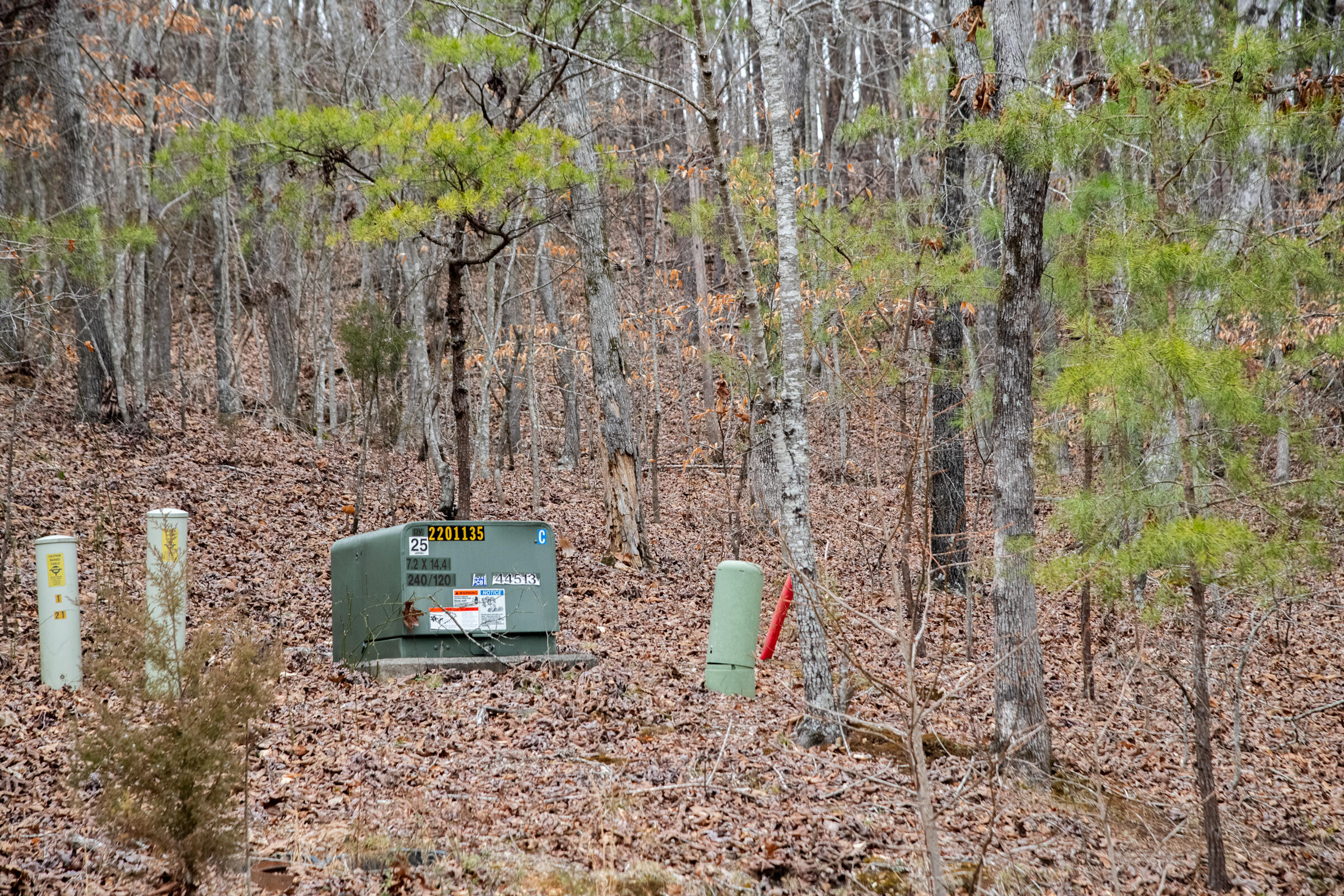 0 Valley Rim Drive, Unit 45 Chickamauga, GA 30707 - Photo 17 of 60 CloudlandStationLot-1