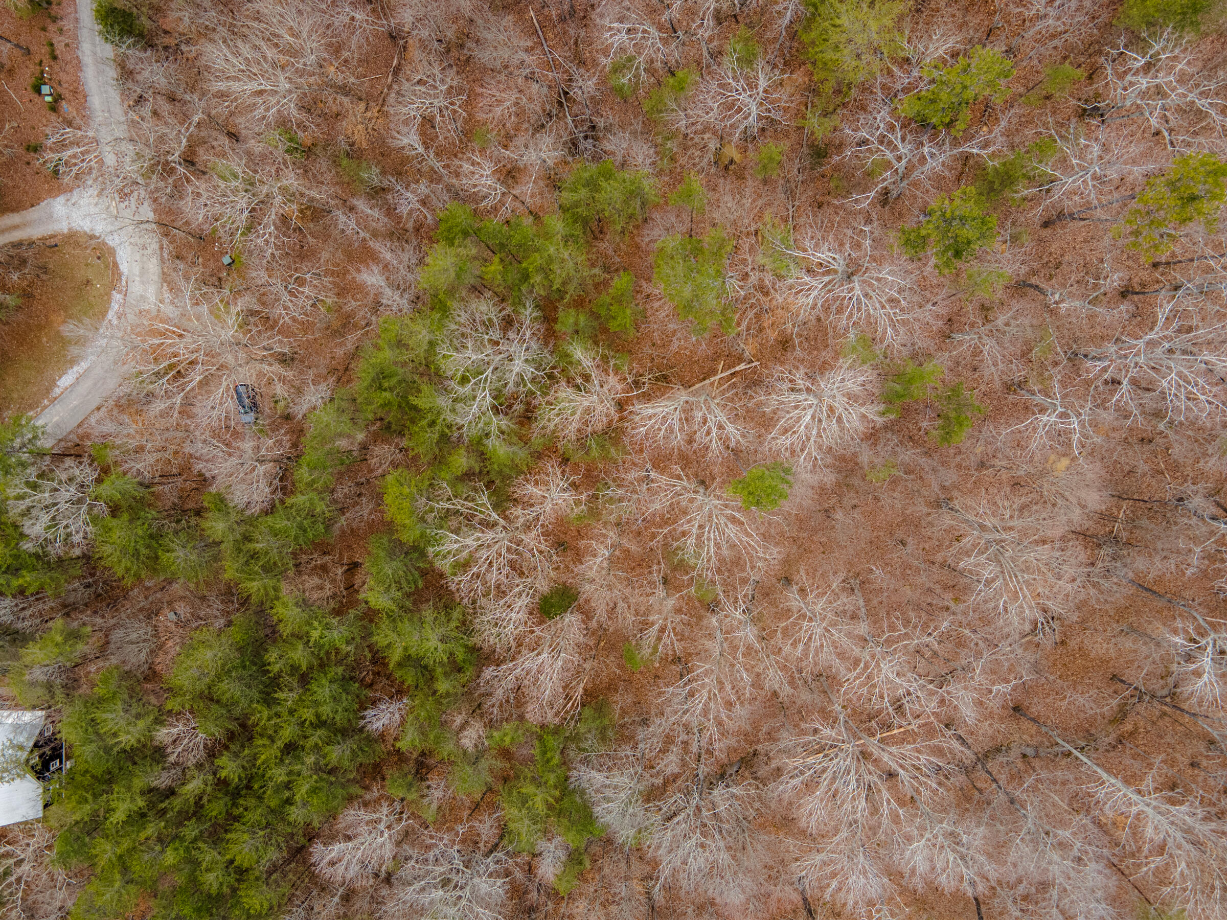 0 Valley Rim Drive, Unit 45 Chickamauga, GA 30707 - Photo 3 of 60 CloudlandStationLot-16